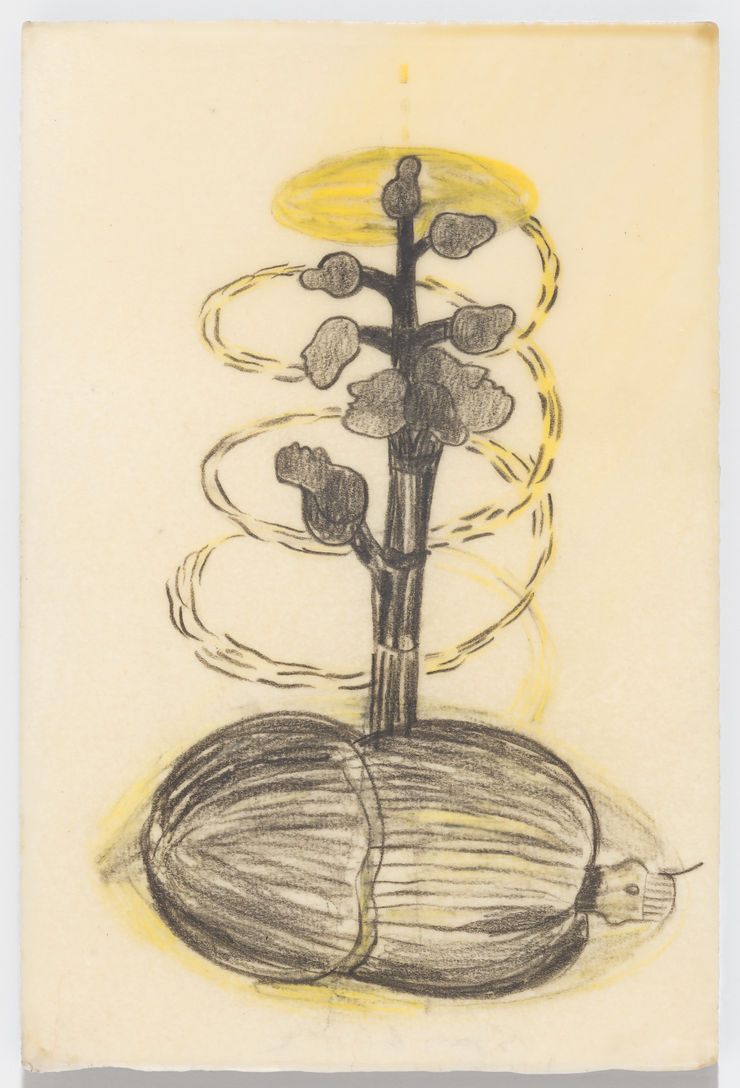 Sandra Vásquez de la Horra COLUMNA, 1997 graphite on paper, wax 22 x 15 cm