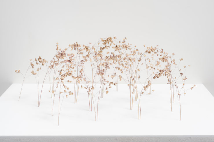 Bogenform (Arch Form)