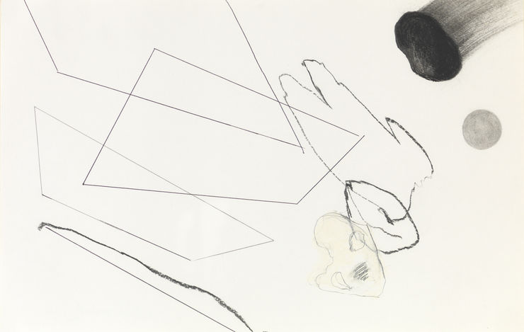 오리와 나, 그리고 무뎌지지 않는 것 A Duck and Me and what Does not Become Dull