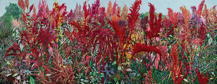 Ahn Chang Hong 폭풍이 지나간 후 II After a heavy rain II, 2021