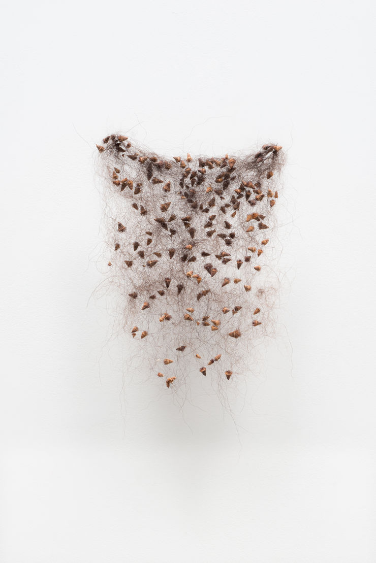 Kleines durchlässiges Flies