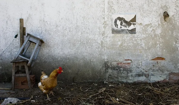 Miles Thurlow, New State, 2007