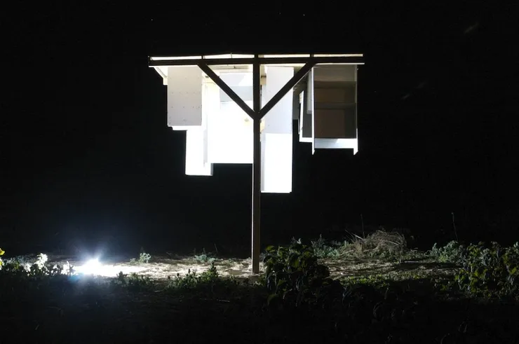 Miles Thurlow, Morro, 2007