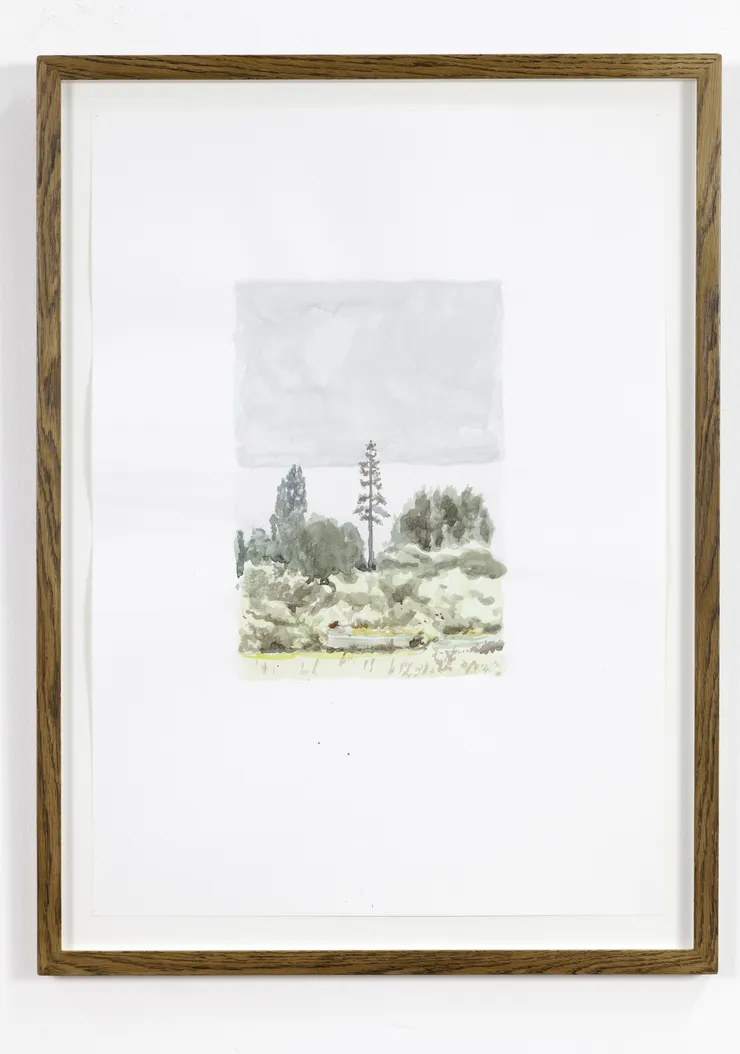 Magnus Quaife, A Phone Mast Pretneding to be a Tree