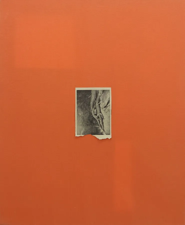 Hugo Canoilas, The sterile everyday of horrid fixity., 2013