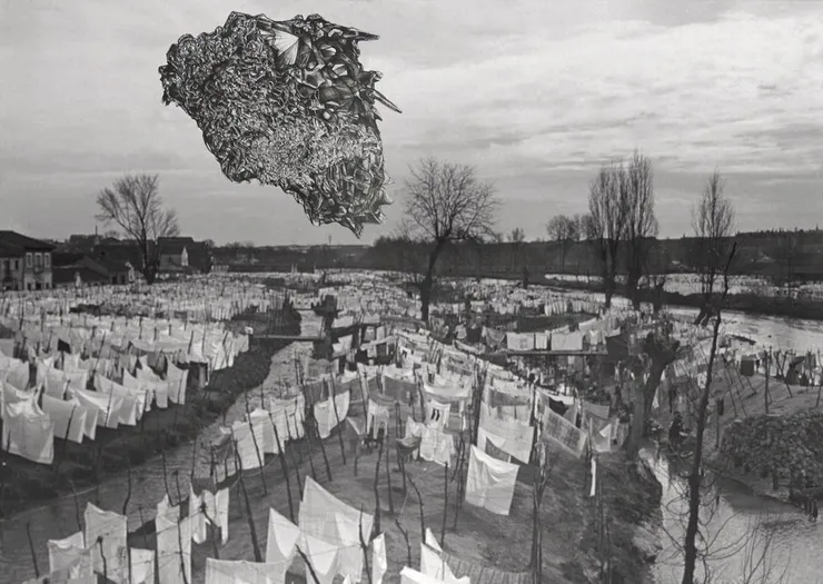 Darren Banks, Sci-Fi Looking Thing, 2006