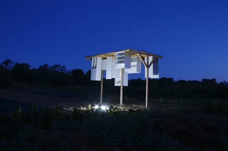 Miles Thurlow, Morro, 2007