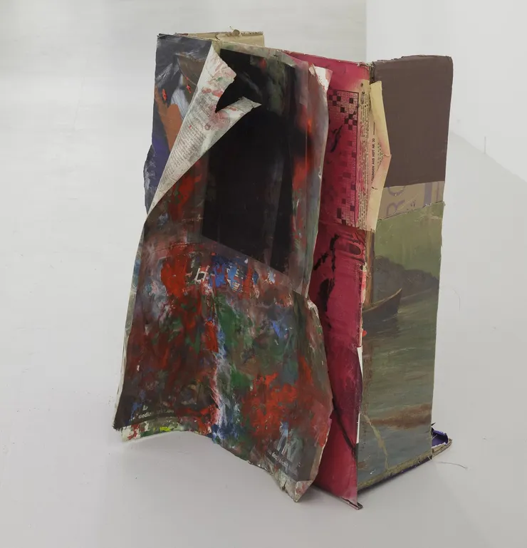 Hugo Canoilas, The hands of the crazy; the bodies of the crazy., 2013