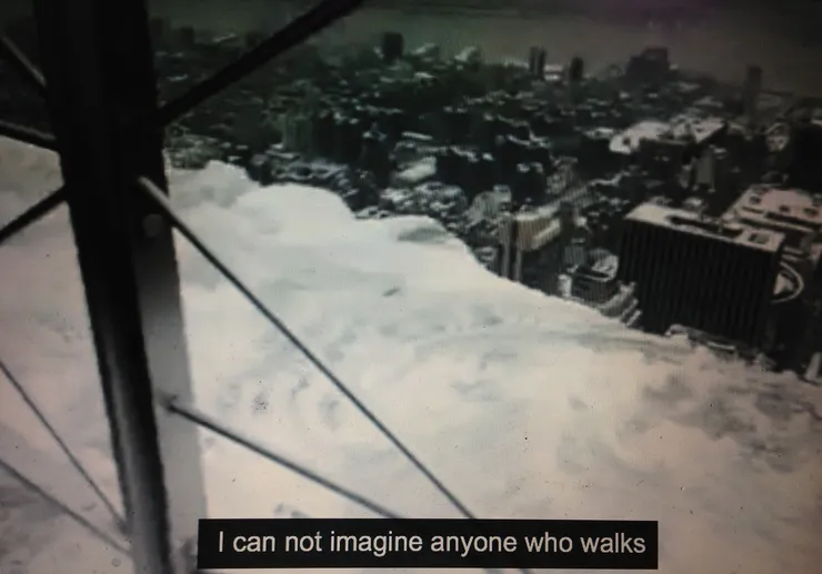 Cath Campbell, I can not imagine anyone who walks, 2014