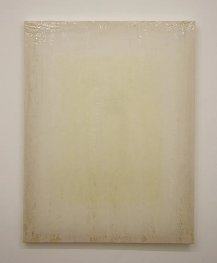 Michał Budny, Untitled, 2013