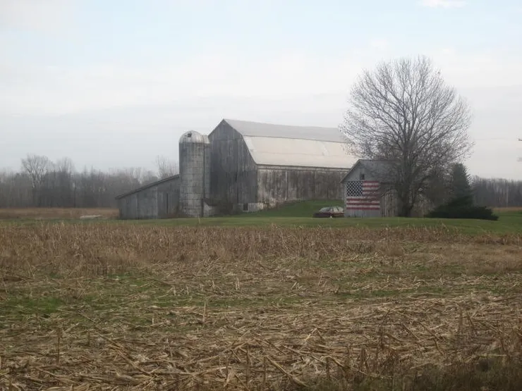 Sophie Lisa Beresford, Corn [1 of 2], 2010