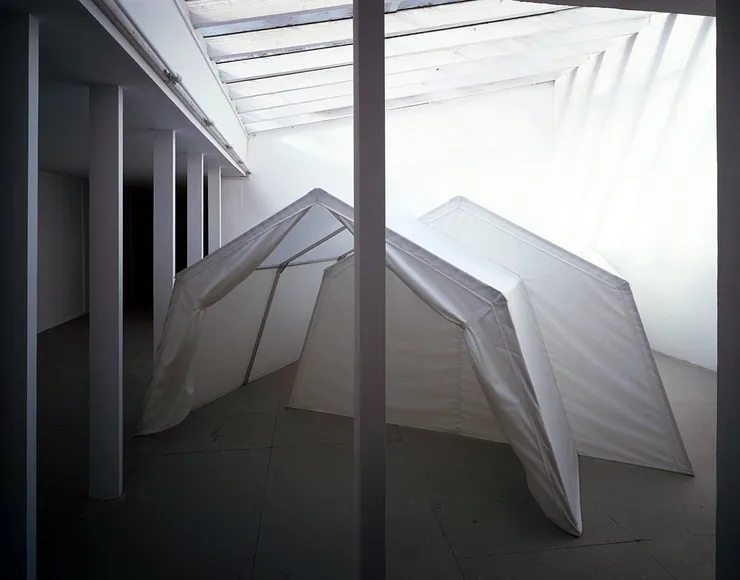 Wolfgang Weileder, Tent, 2000