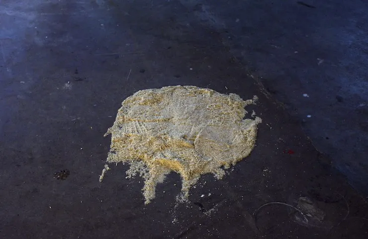 Darren Banks, Crowley's Cut, 2010