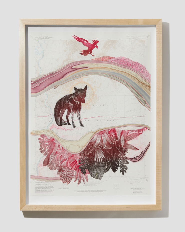 Johanna Mueller, Fox Sangre de Christo, 2022