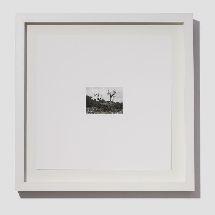 Jill O'Bryan, Mesa #5, 2021