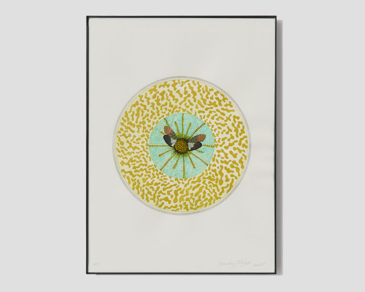 Bunny Tobias, Here Is What Moves in Magnificent Masses Careless of Particulars (#7), 2025