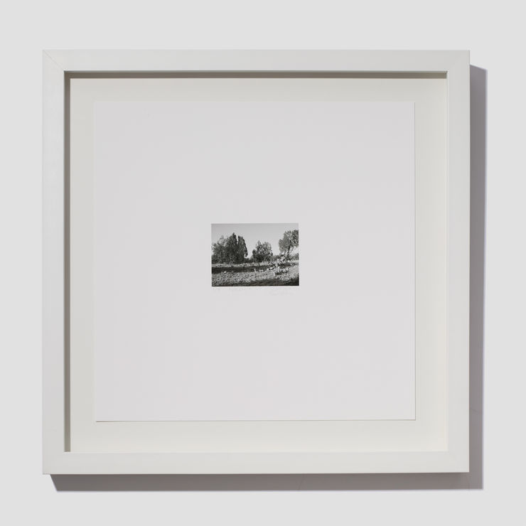 Jill O'Bryan, Mesa #3, 2021