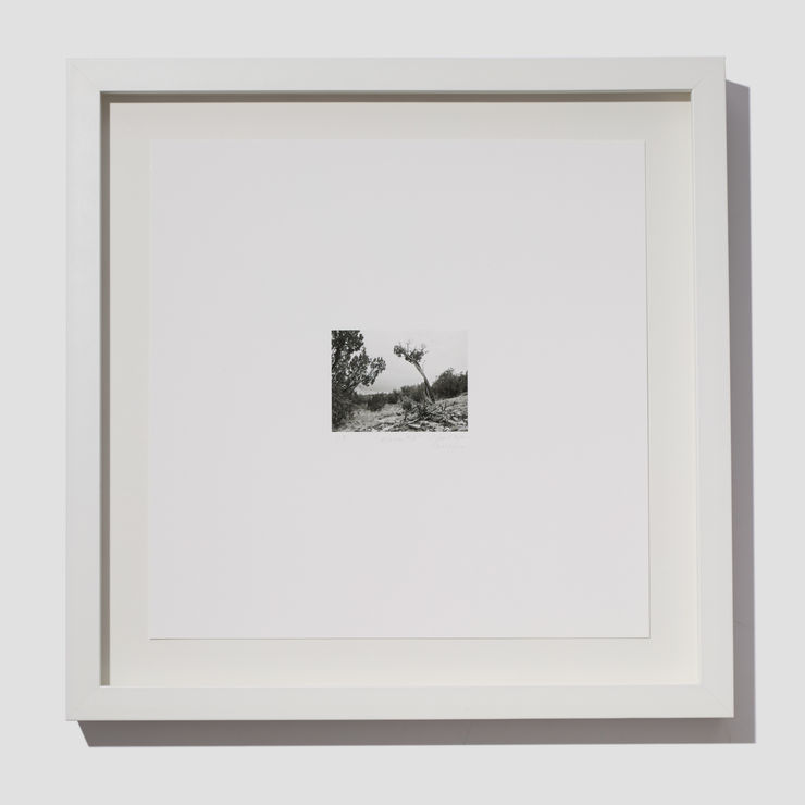 Jill O'Bryan, Mesa #2, 2021