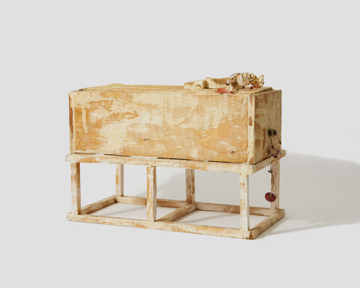 Armond Lara, Medicine Box #4