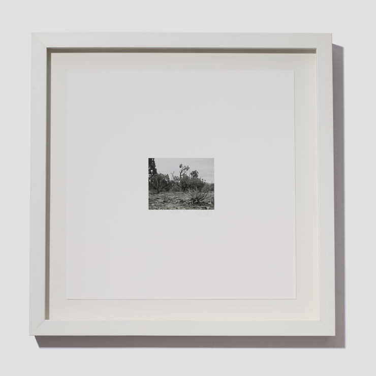 Jill O'Bryan, Mesa #9, 2021