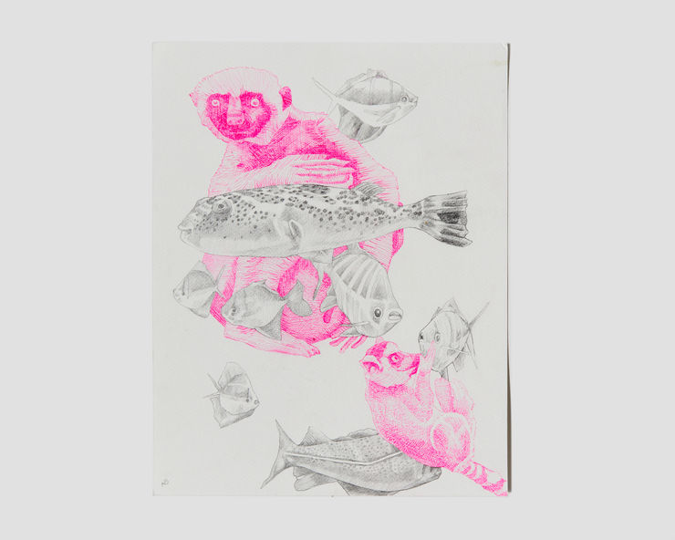 Nathan Budoff, Aquarium, 2024