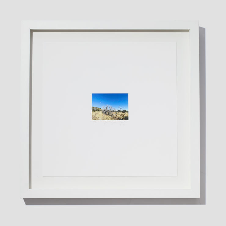 Jill O'Bryan, Mesa #59, 2022