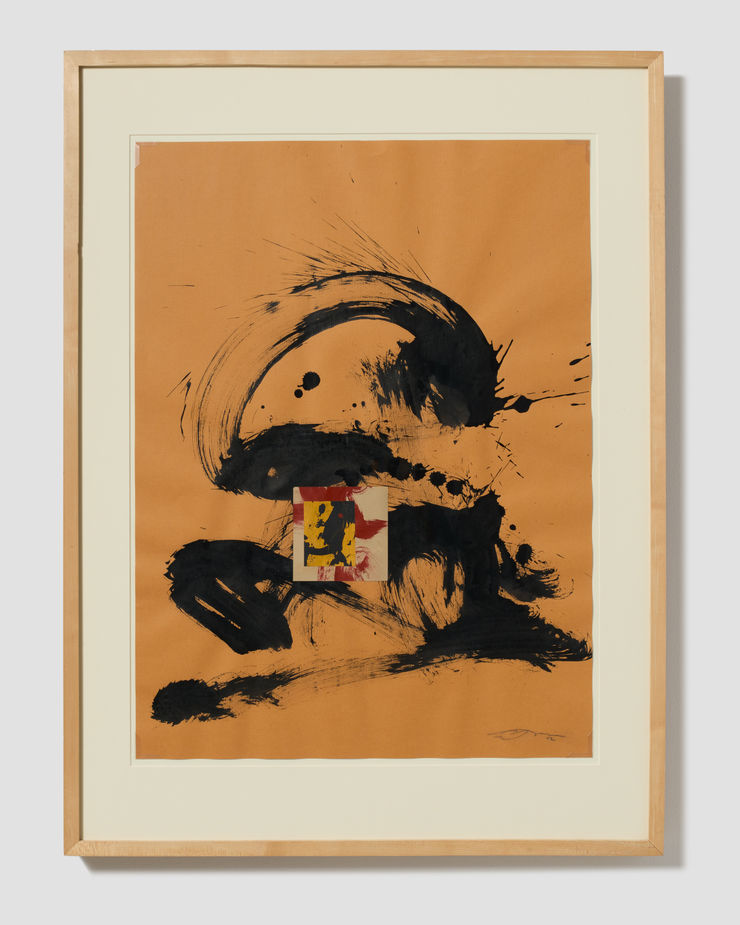 Paul Shapiro, C54-02, 2002