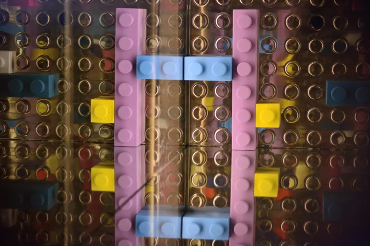 Matteo Negri, Splendida villa con giardino, viste incantevoli, solo exhibition at Casa Testori, Novate Milanese, 2016