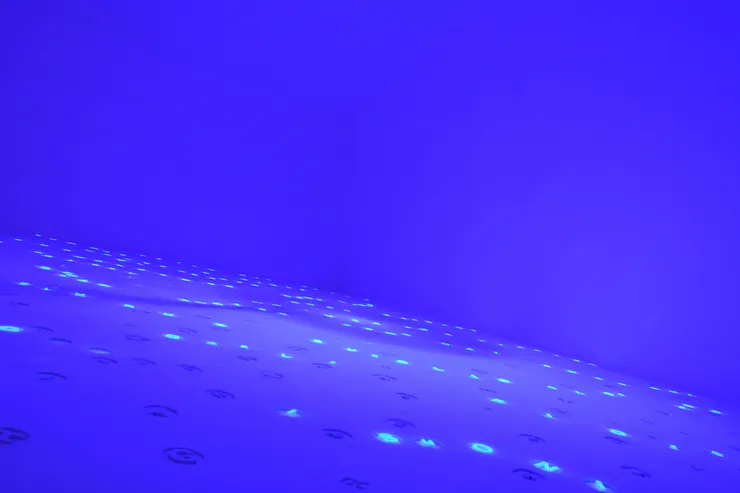 Matteo Negri, Splendida villa con giardino, viste incantevoli, solo exhibition at Casa Testori, Novate Milanese, 2016