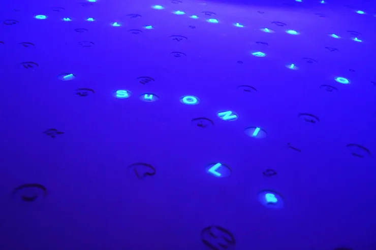 Matteo Negri, Splendida villa con giardino, viste incantevoli, solo exhibition at Casa Testori, Novate Milanese, 2016