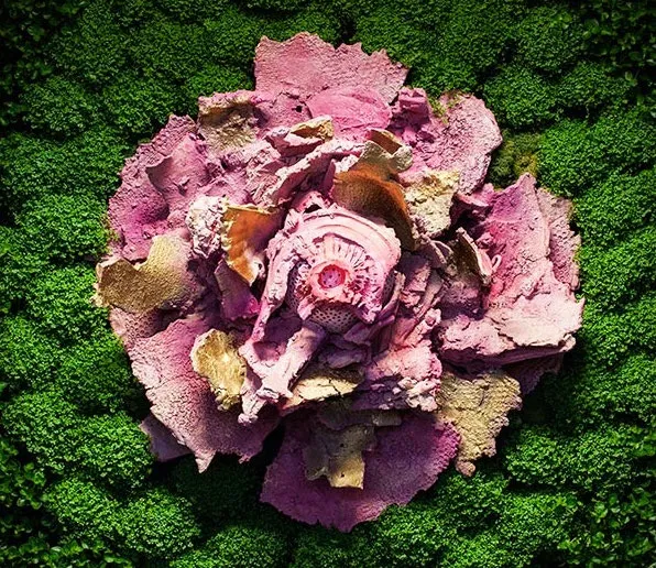 Asso di Fiori (details) 2016