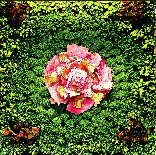 Asso di Fiori 2016 installazione ambientale, in posa cm 200x260x30, piante acqua corrente, 5 elementi in ceramica. Stanza "B", giardino verticale.