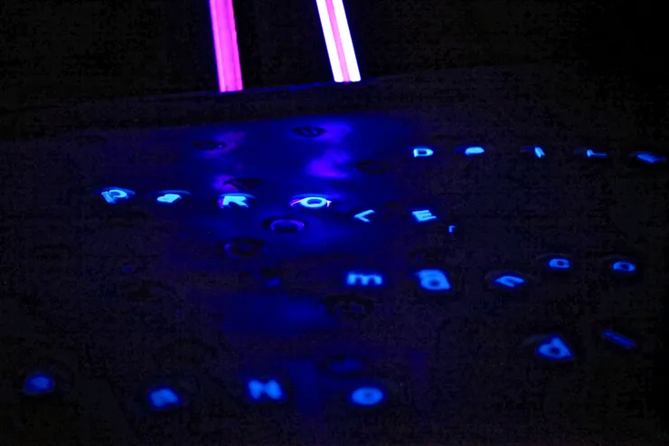 Matteo Negri, 2016, "delle più belle, le parole, manco a dirle pensano di essere, installazione ambientale, in posa cm 470x400, silicone e legno. Stanza "D", palla.