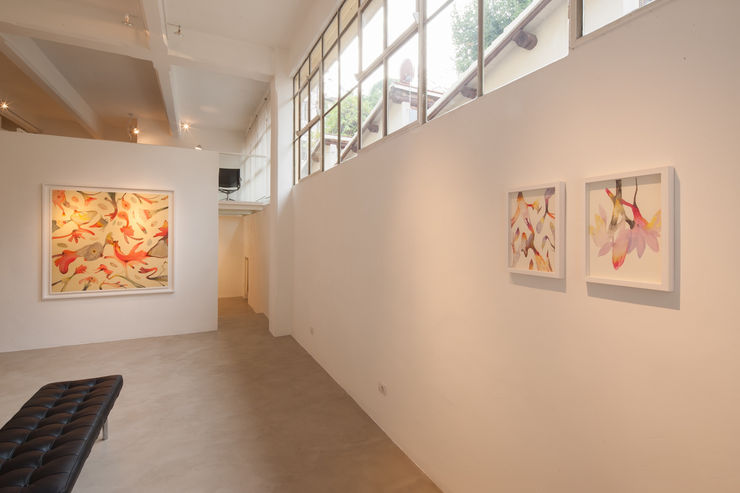 Isabella Nazzarri | Vita delle Forme, Instalaltion view