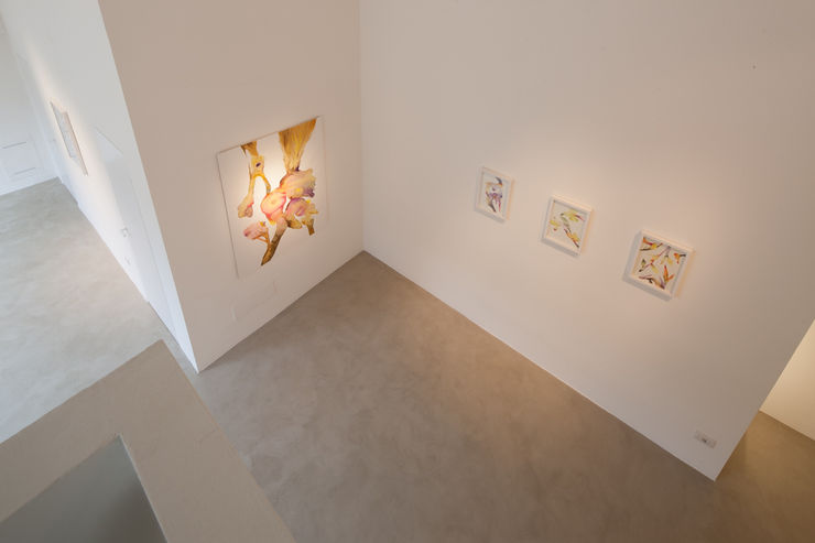 Isabella Nazzarri | Vita delle Forme, Instalaltion view