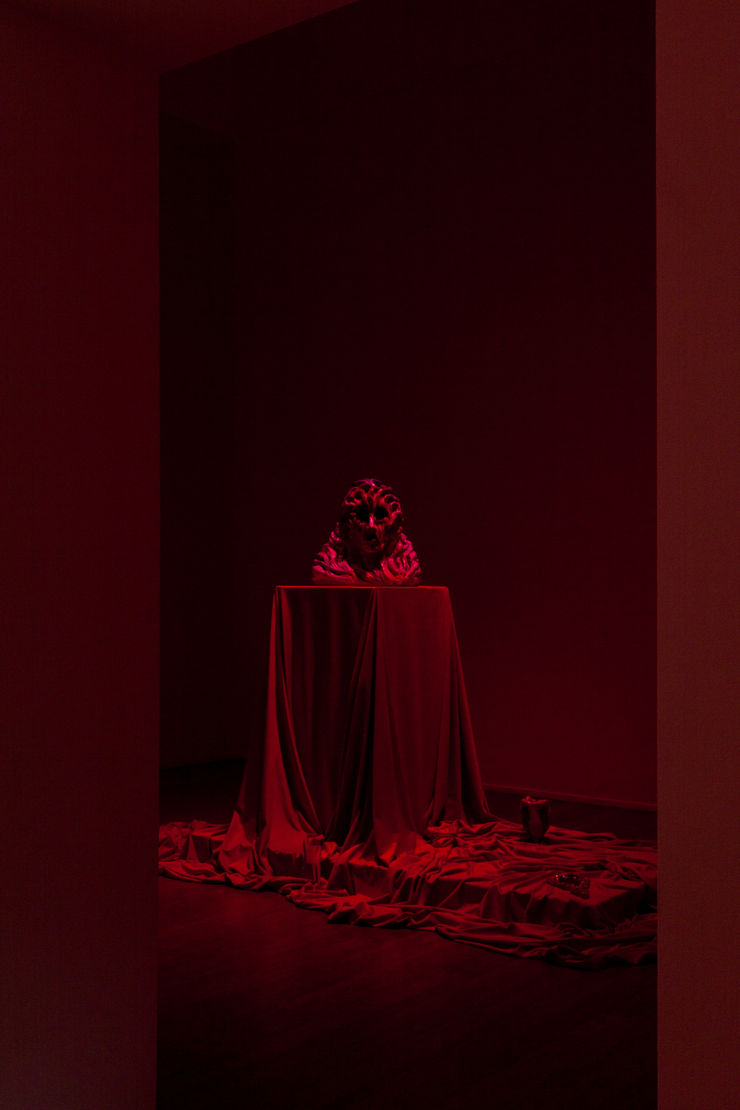 Zoe Williams. Capital Vice, ABC-ARTE, 2022, installation shots. Courtesy of the Artist, ABC-ARTE Genova, Ciaccia Levi Paris-Milan.