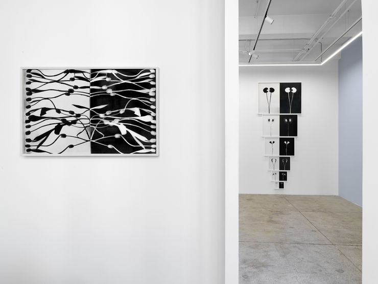 Alison Bradley Kunie Sugiura In New York 05 25 0052