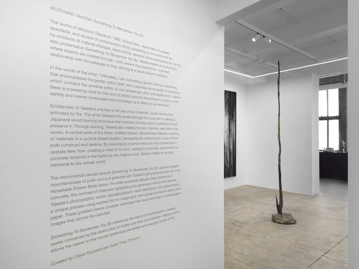 Alison Bradley Motohiro Takeda Something To Remember You By 09 24 0008