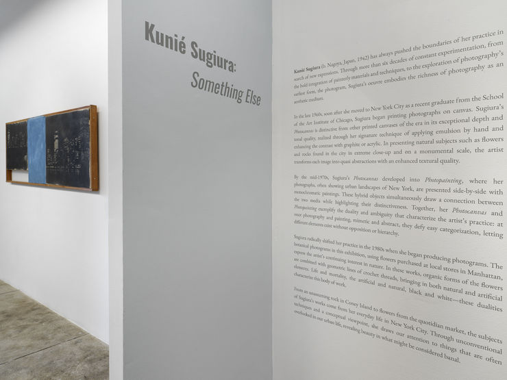 Alison Bradley Kunie Sugiura In New York 05 25 0003