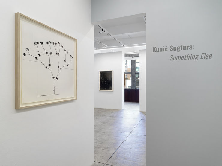 Alison Bradley Kunie Sugiura In New York 05 25 0008