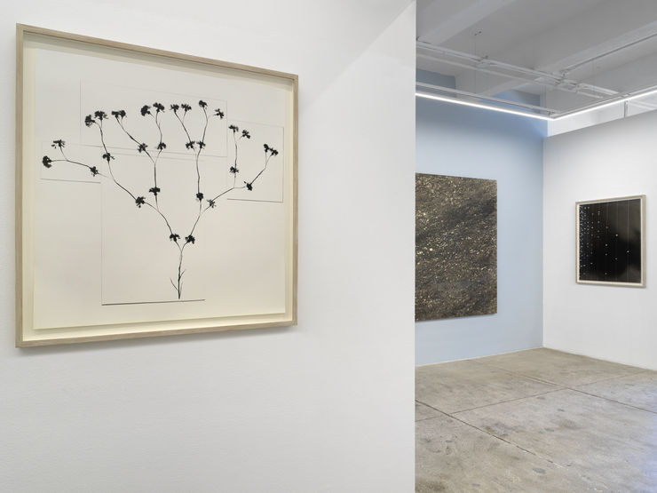 Alison Bradley Kunie Sugiura In New York 05 25 0011