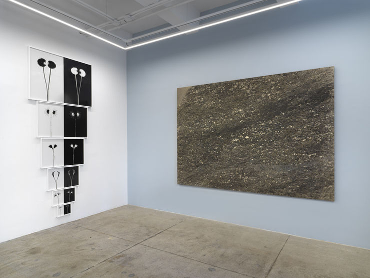 Alison Bradley Kunie Sugiura In New York 05 25 0022