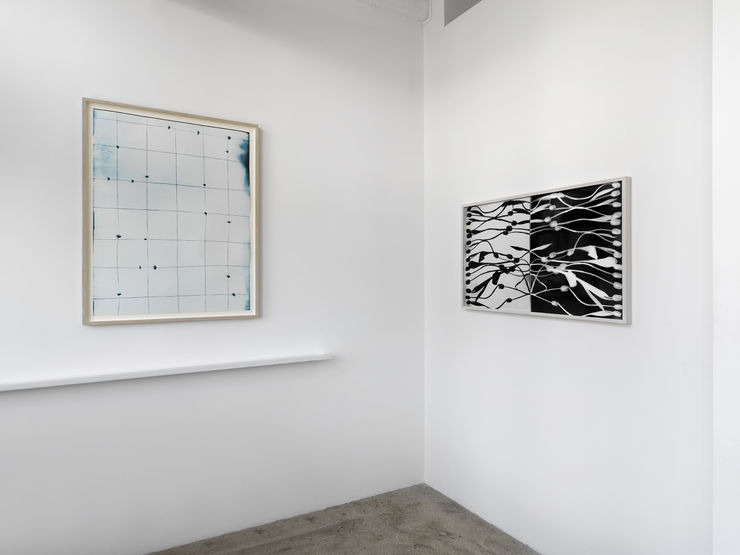 Alison Bradley Kunie Sugiura In New York 05 25 0055