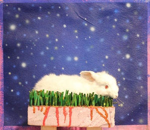 Joseph Peragine Love Me Til my heart stops mixed media rabbit diorama