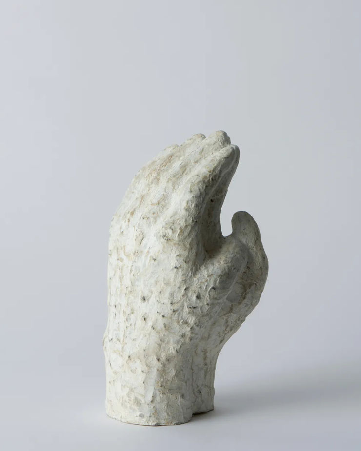 Joel Sorensen - Lupine