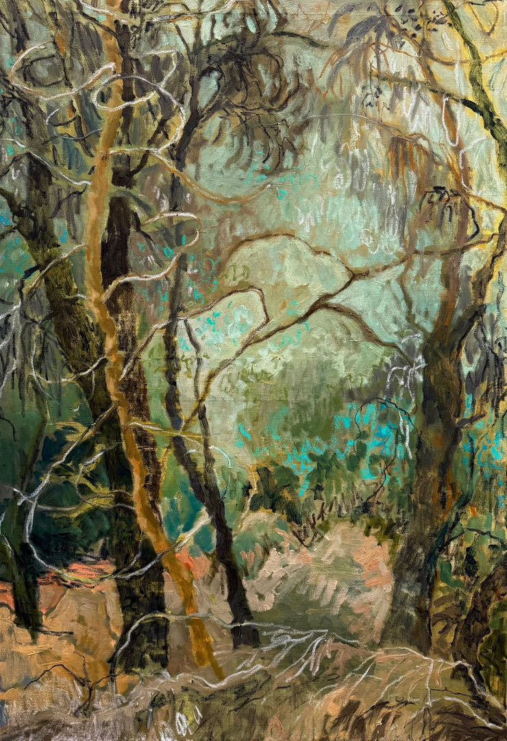Meg Walters Announced as Finalist in the Hawkesbury Art Prize 2025