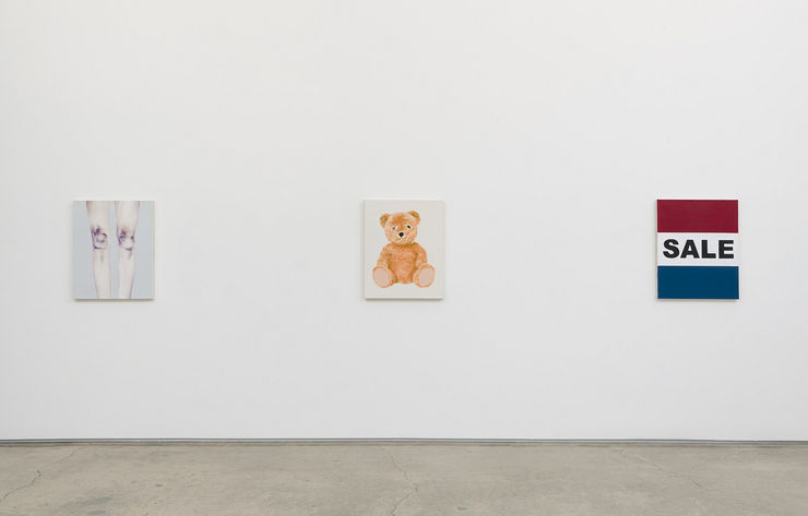 Michael St. John Portraits of Democracy