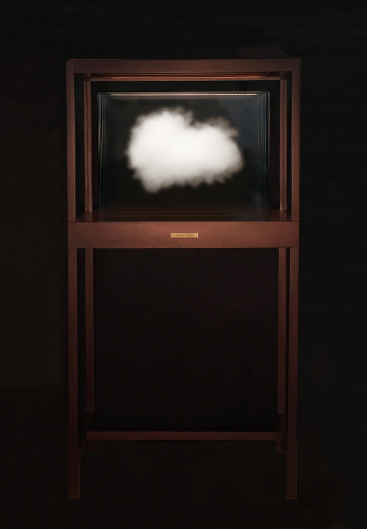 Leandro Erlich "The Cloud - Lion", 2014 vitrine de madeira, vidro UltraClear, tinta cerâmica e luz led Ultra clear glass, ceramic ink, wood, light, vitrine 175 x 91 x 50 cm 68.89 x 35.82 x 19.68 in
