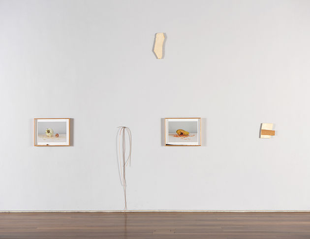 Pablo Lobato, vista da exposição "Da Natureza das Coisas" | exhibition view "Da Natureza das Coisas", 2016