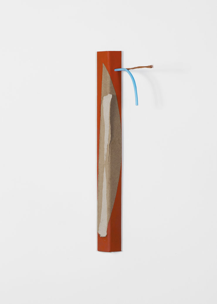 Pablo Lobato, “Cerrado IV”, 2018